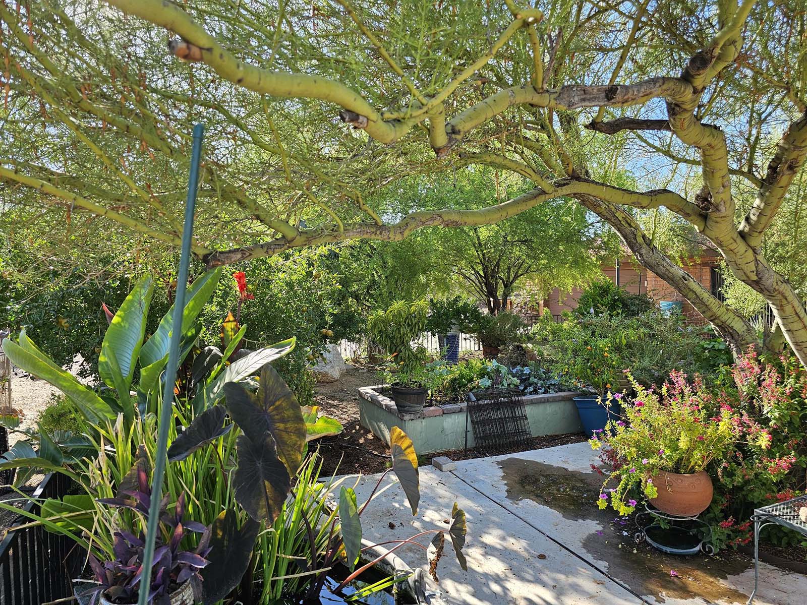 Main garden